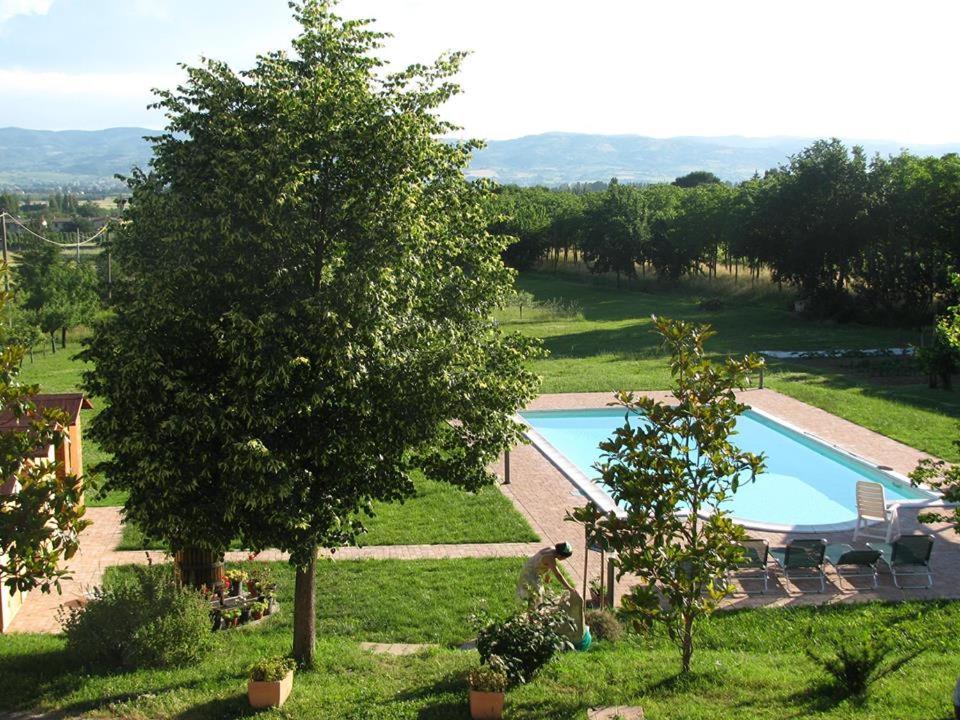 La Sorgente Del Subasio Assisi Lägenhet Exteriör bild